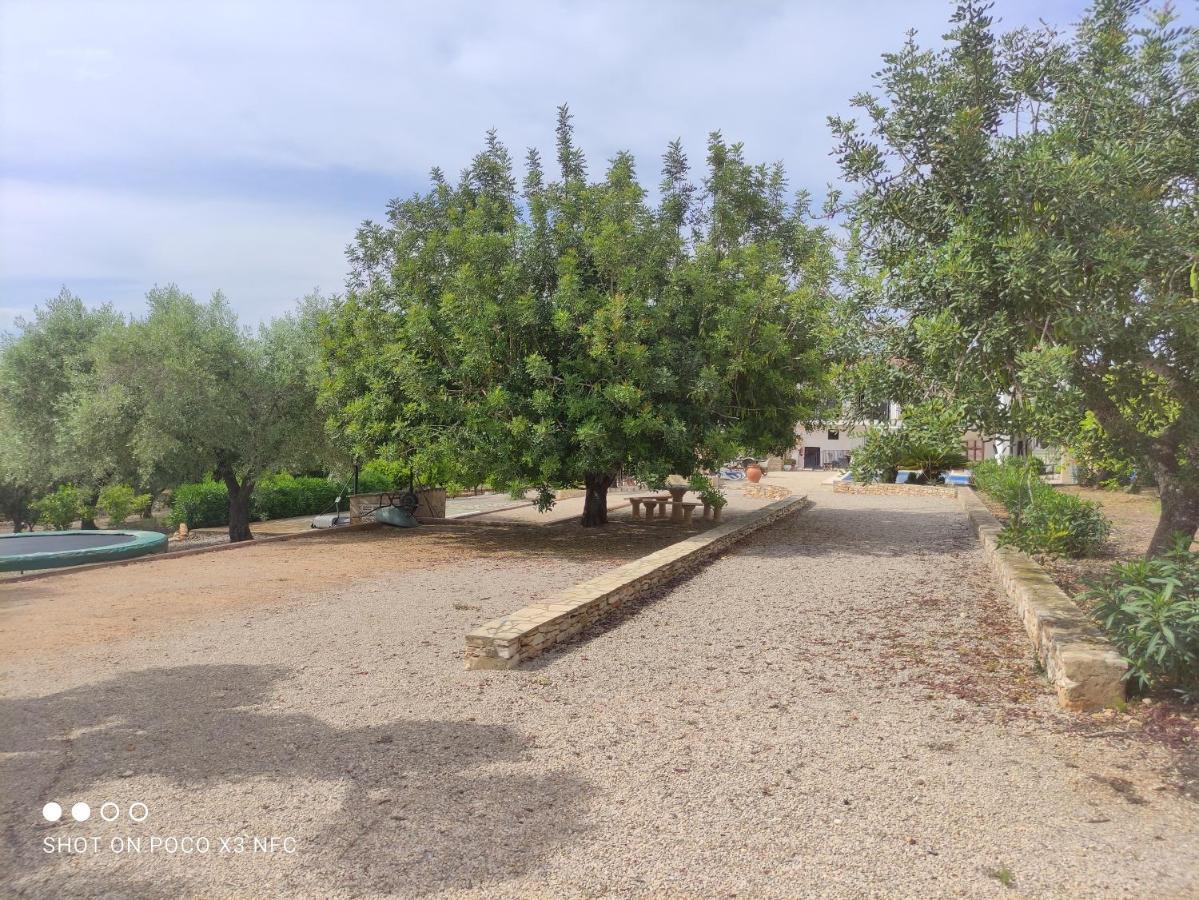 Finca Tierra Roja Calig Luaran gambar