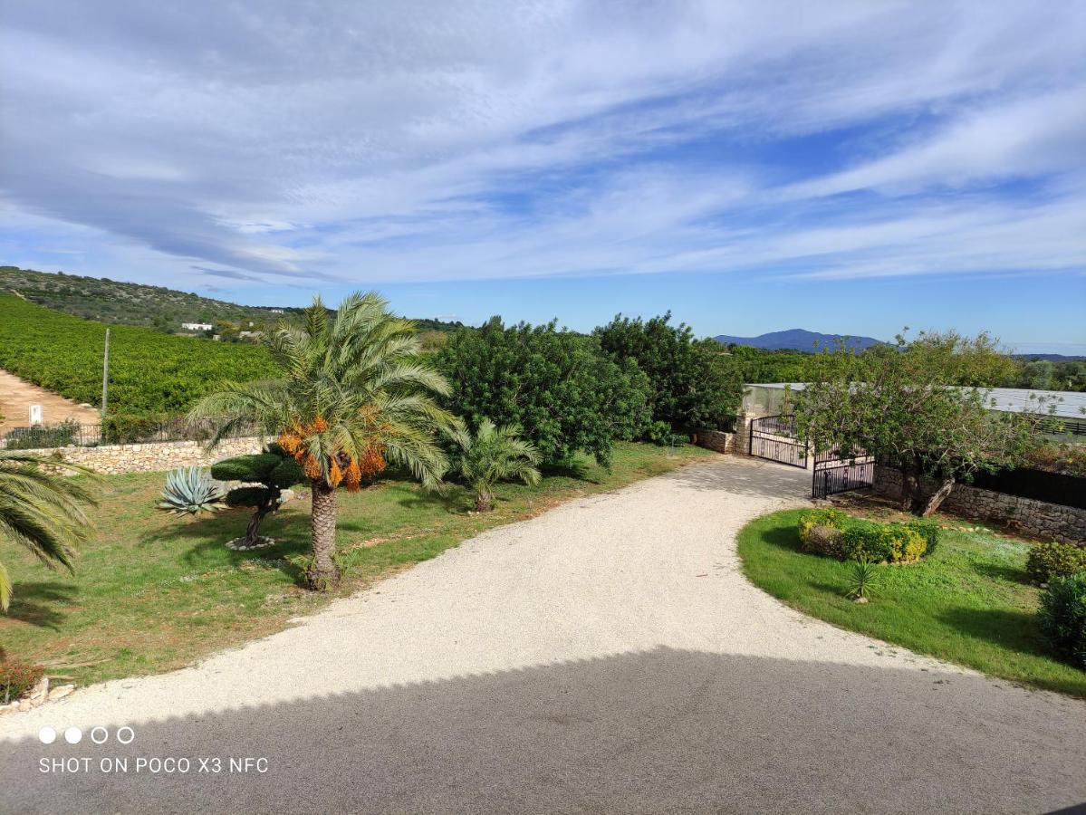 Finca Tierra Roja Calig Luaran gambar