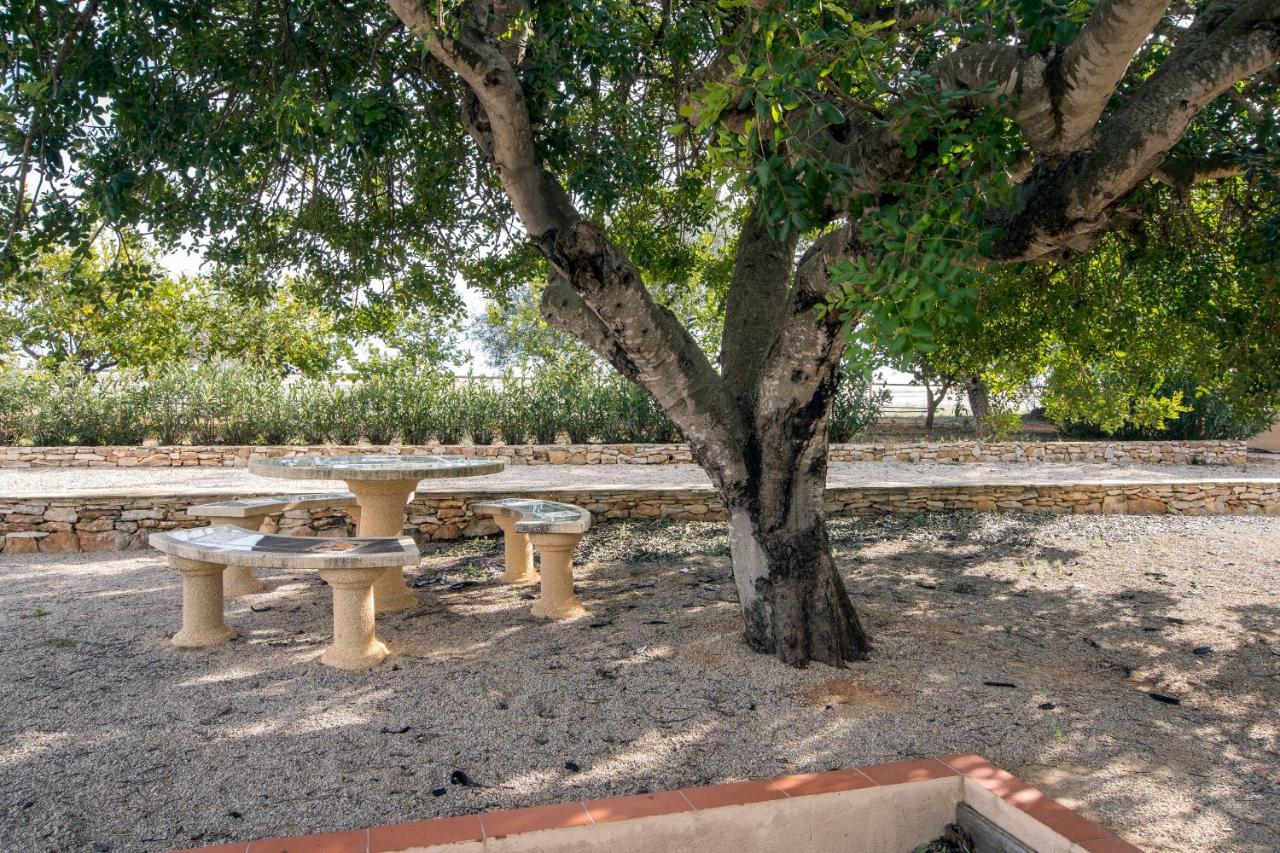 Finca Tierra Roja Calig Luaran gambar